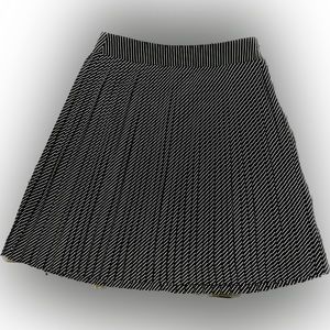 The Limited Women’s pleated Skirt (size S)